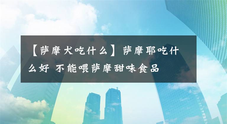 【萨摩犬吃什么】萨摩耶吃什么好 不能喂萨摩甜味食品