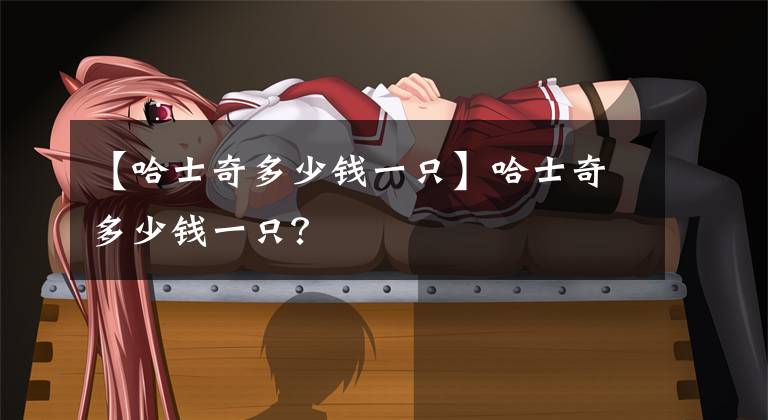 【哈士奇多少钱一只】哈士奇多少钱一只？