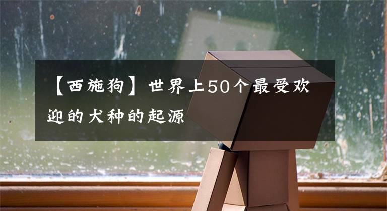 【西施狗】世界上50个最受欢迎的犬种的起源