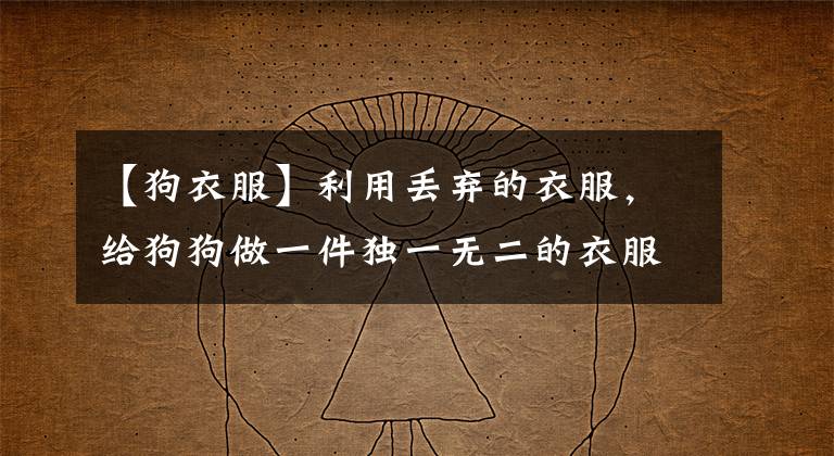 【狗衣服】利用丢弃的衣服，给狗狗做一件独一无二的衣服！
