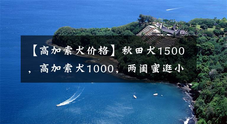 【高加索犬价格】秋田犬1500，高加索犬1000，两闺蜜逛小镇狗市，看上了小狗狗