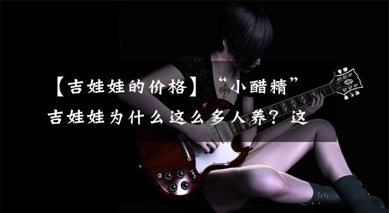 【吉娃娃的价格】“小醋精”吉娃娃为什么这么多人养？这几个理由，让我无法拒绝！