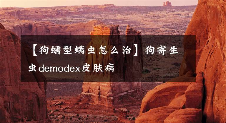 【狗蠕型螨虫怎么治】狗寄生虫demodex皮肤病