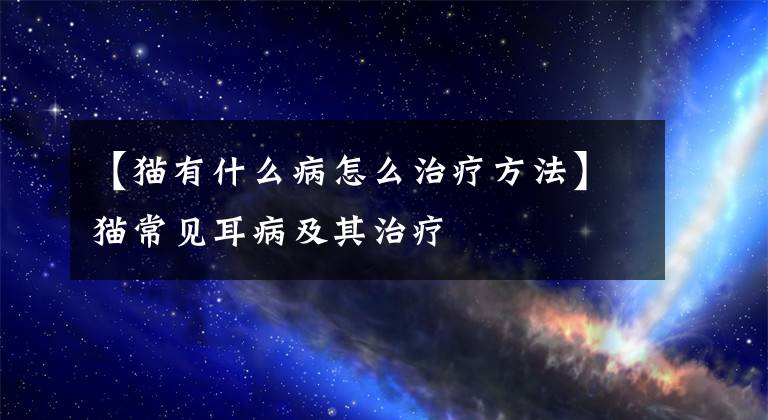 【猫有什么病怎么治疗方法】猫常见耳病及其治疗