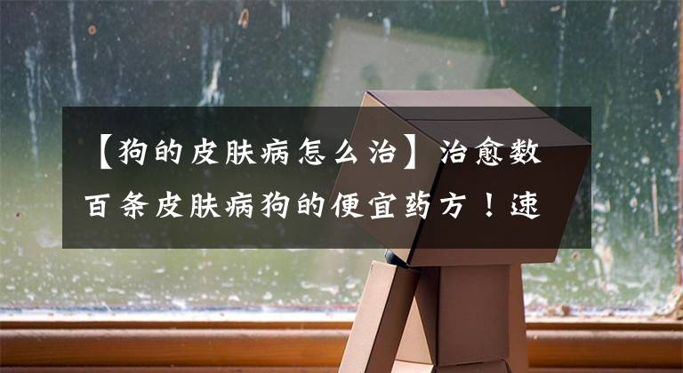 【狗的皮肤病怎么治】治愈数百条皮肤病狗的便宜药方！速转！！