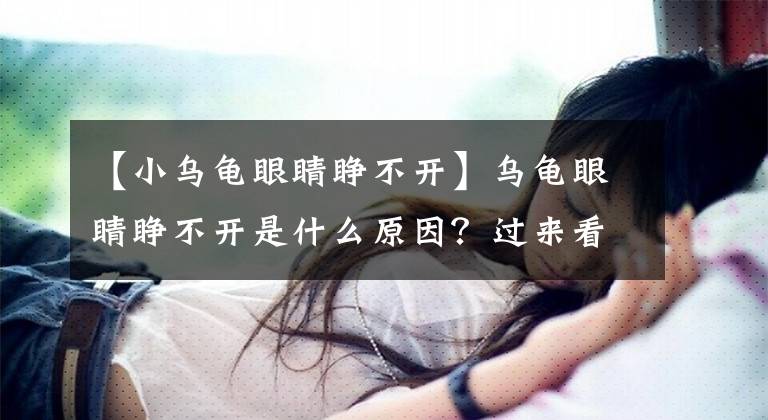 【小乌龟眼睛睁不开】乌龟眼睛睁不开是什么原因？过来看看吧