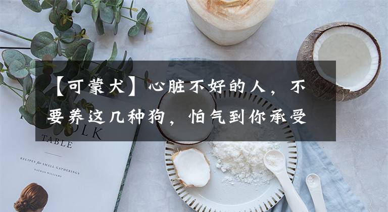 【可蒙犬】心脏不好的人，不要养这几种狗，怕气到你承受不住