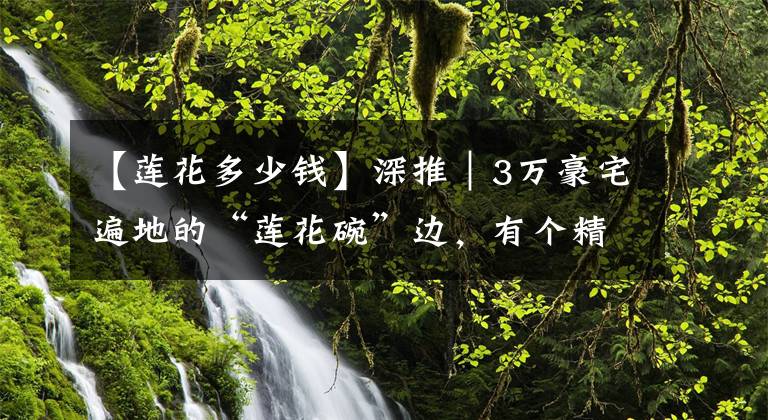 【莲花多少钱】深推｜3万豪宅遍地的“莲花碗”边，有个精装盘只卖1万4?