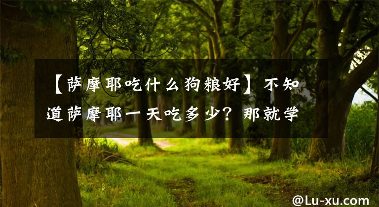 【萨摩耶吃什么狗粮好】不知道萨摩耶一天吃多少？那就学好这些知识，就养出健康的萨摩