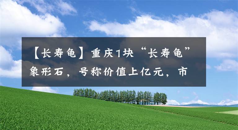 【长寿龟】重庆1块“长寿龟”象形石，号称价值上亿元，市民看不出哪里值钱