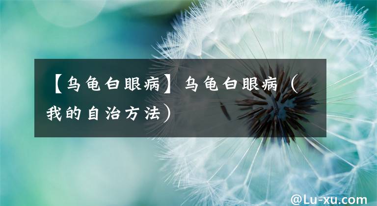 【乌龟白眼病】乌龟白眼病（我的自治方法）
