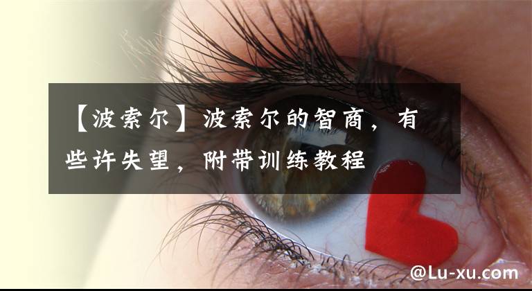 【波索尔】波索尔的智商，有些许失望，附带训练教程