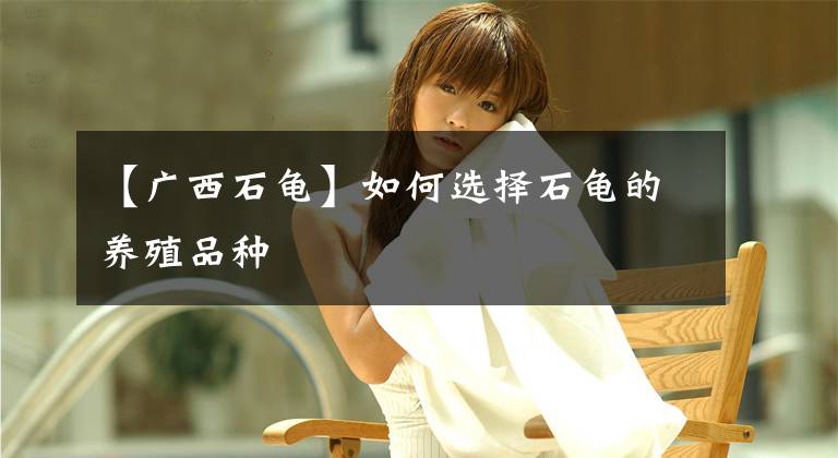 【广西石龟】如何选择石龟的养殖品种