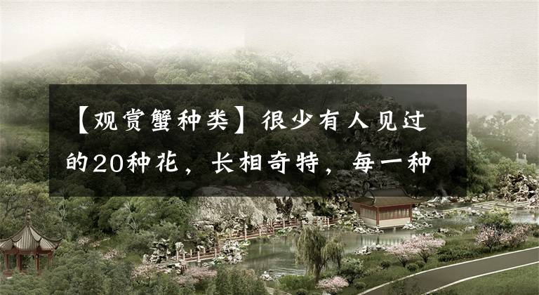 【观赏蟹种类】很少有人见过的20种花，长相奇特，每一种都让人惊艳