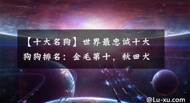 【十大名狗】世界最忠诚十大狗狗排名：金毛第十，秋田犬第五，厉害了我的土狗
