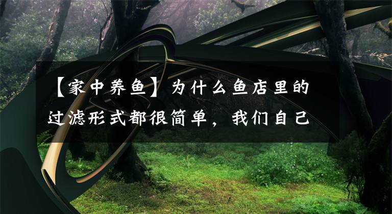 【家中养鱼】为什么鱼店里的过滤形式都很简单，我们自己养鱼，过滤就很复杂？