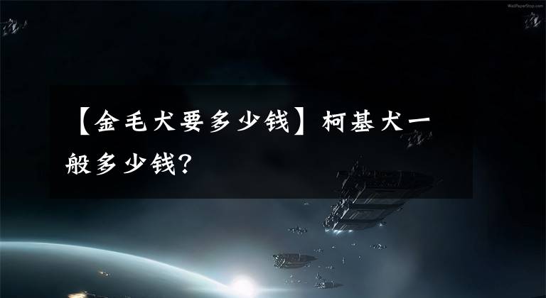 【金毛犬要多少钱】柯基犬一般多少钱？