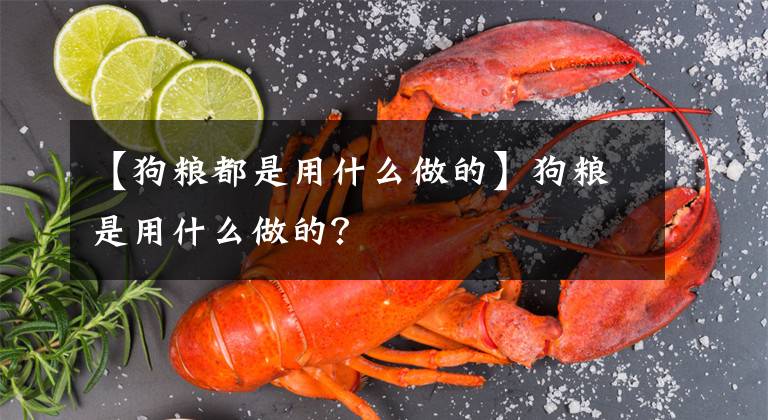 【狗粮都是用什么做的】狗粮是用什么做的？