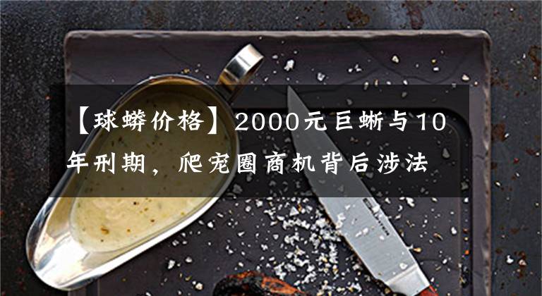 【球蟒价格】2000元巨蜥与10年刑期，爬宠圈商机背后涉法之争
