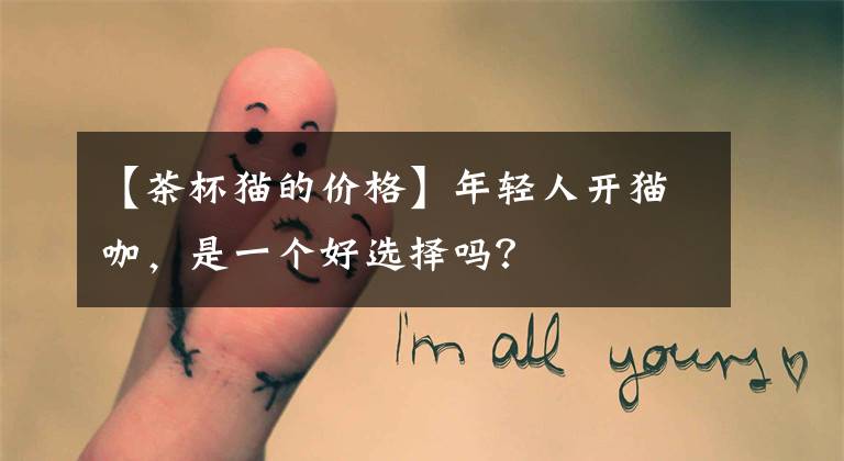 【茶杯猫的价格】年轻人开猫咖，是一个好选择吗？
