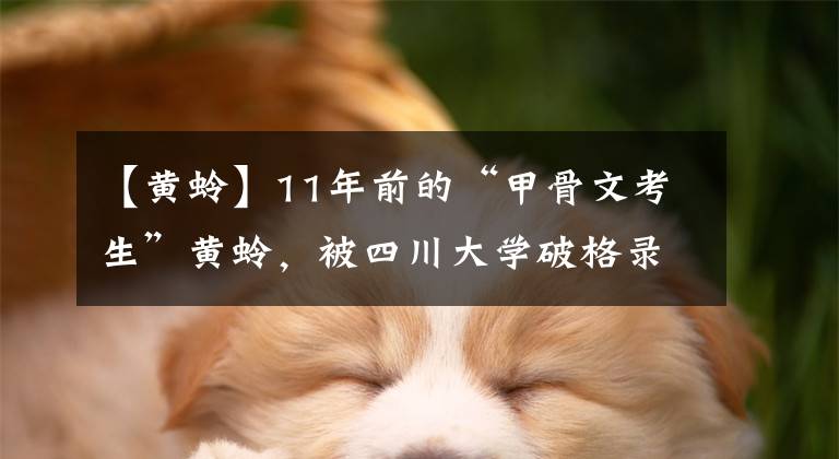 【黄蛉】11年前的“甲骨文考生”黄蛉，被四川大学破格录取后，发展如何？