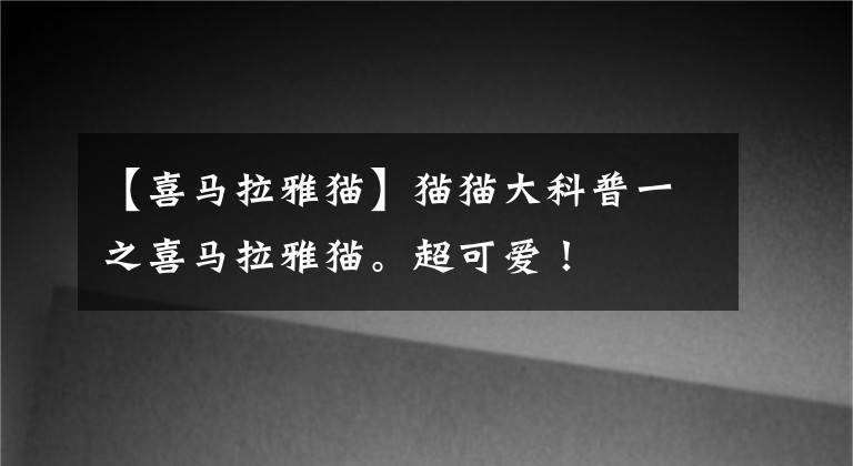 【喜马拉雅猫】猫猫大科普一之喜马拉雅猫。超可爱！