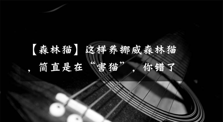 【森林猫】这样养挪威森林猫，简直是在“害猫”，你错了几个？