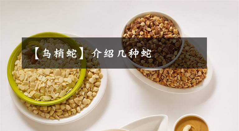【乌梢蛇】介绍几种蛇