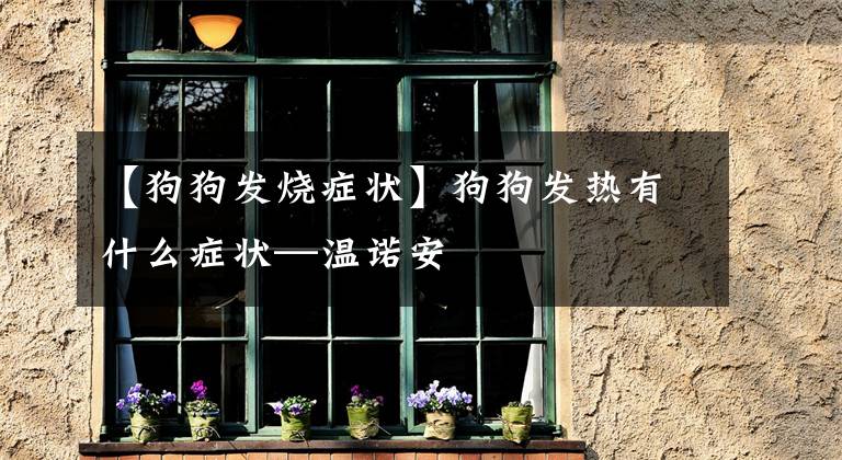 【狗狗发烧症状】狗狗发热有什么症状—温诺安