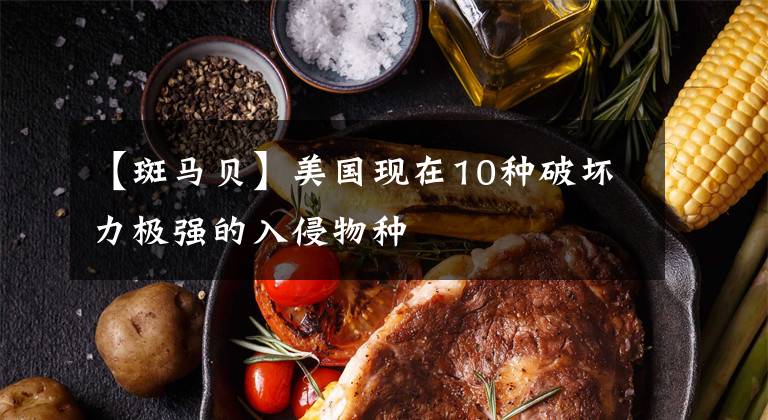 【斑马贝】美国现在10种破坏力极强的入侵物种