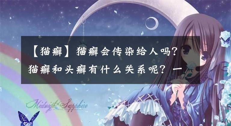 【猫癣】猫癣会传染给人吗？猫癣和头癣有什么关系呢？一文说清楚