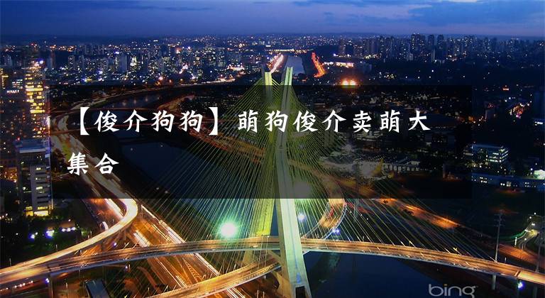【俊介狗狗】萌狗俊介卖萌大集合
