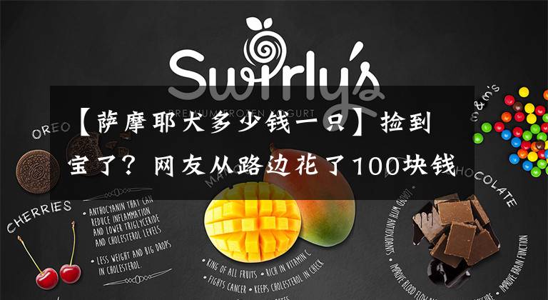 【萨摩耶犬多少钱一只】捡到宝了？网友从路边花了100块钱，买了只萨摩耶