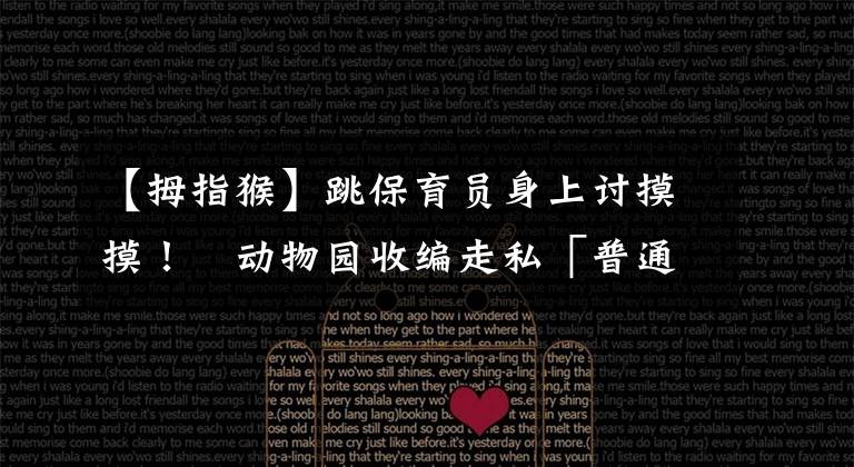 【拇指猴】跳保育员身上讨摸摸！　动物园收编走私「普通狨宝宝」亮相萌翻