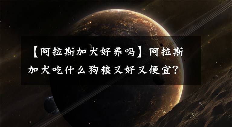 【阿拉斯加犬好养吗】阿拉斯加犬吃什么狗粮又好又便宜？