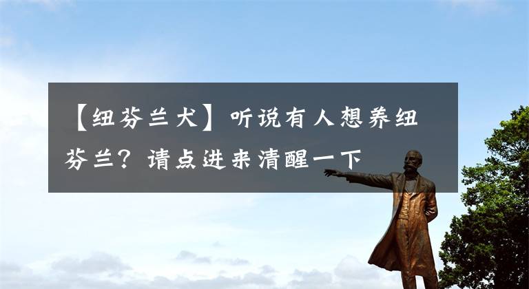 【纽芬兰犬】听说有人想养纽芬兰？请点进来清醒一下