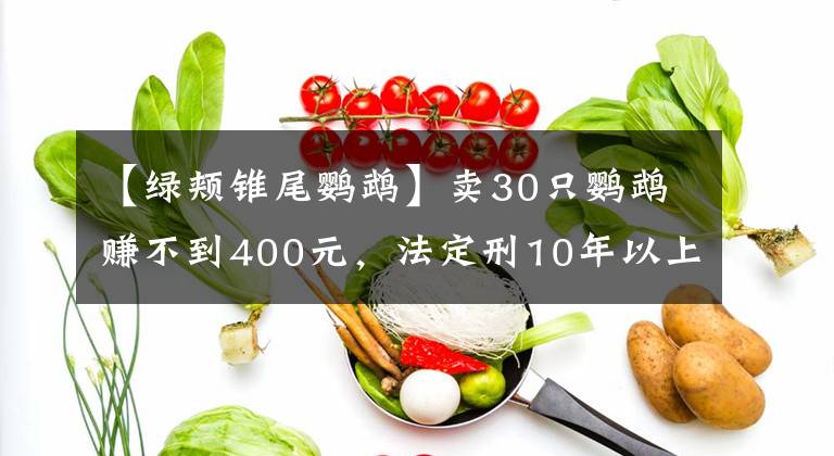 【绿颊锥尾鹦鹉】卖30只鹦鹉赚不到400元，法定刑10年以上？处理结果让她当场大哭