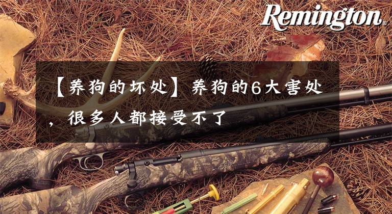 【养狗的坏处】养狗的6大害处，很多人都接受不了