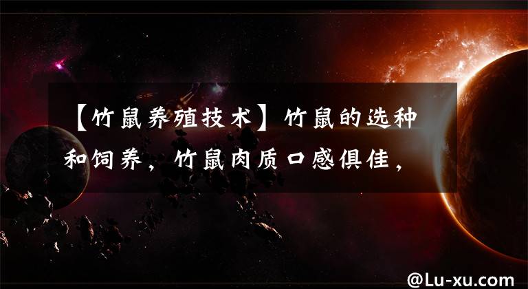 【竹鼠养殖技术】竹鼠的选种和饲养，竹鼠肉质口感俱佳，市场反馈不错