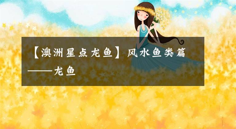 【澳洲星点龙鱼】风水鱼类篇——龙鱼