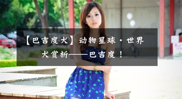【巴吉度犬】动物星球·世界名犬赏析——巴吉度！