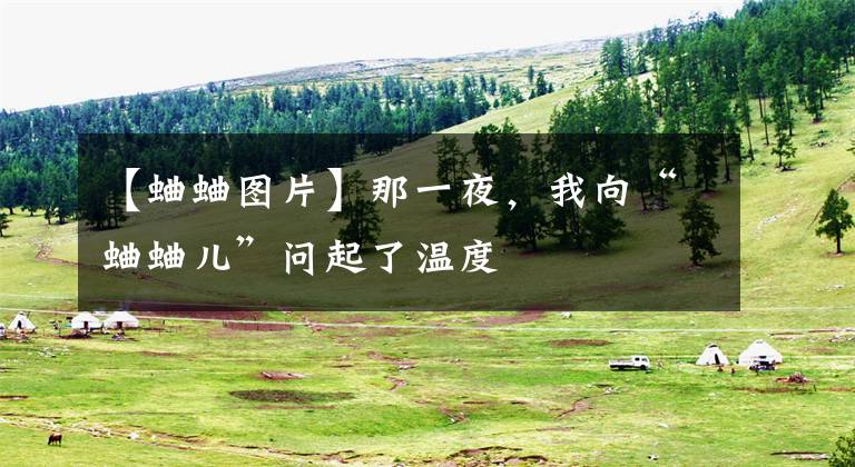 【蛐蛐图片】那一夜，我向“蛐蛐儿”问起了温度