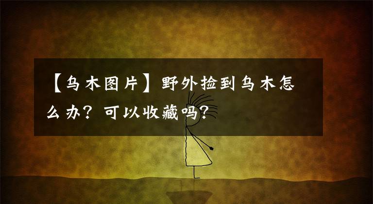 【乌木图片】野外捡到乌木怎么办？可以收藏吗？