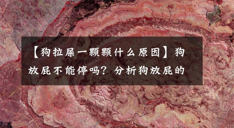 【狗拉屎一颗颗什么原因】狗放屁不能停吗？分析狗放屁的原因，对症下药后恢复正常。