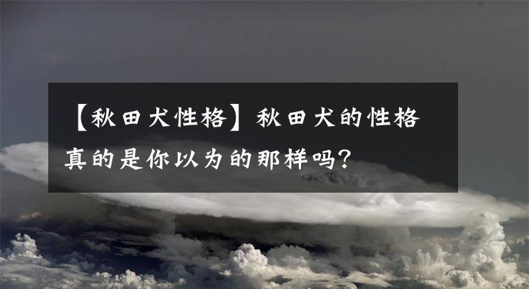 【秋田犬性格】秋田犬的性格真的是你以为的那样吗？