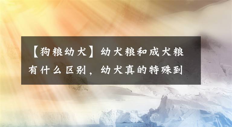 【狗粮幼犬】幼犬粮和成犬粮有什么区别，幼犬真的特殊到需要不同的狗粮吗？