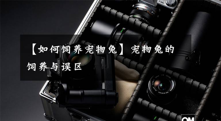 【如何饲养宠物兔】宠物兔的饲养与误区
