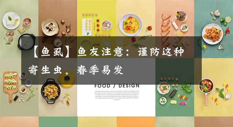 【鱼虱】鱼友注意：谨防这种寄生虫，春季易发