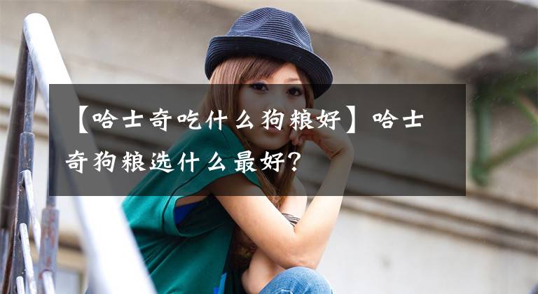 【哈士奇吃什么狗粮好】哈士奇狗粮选什么最好？