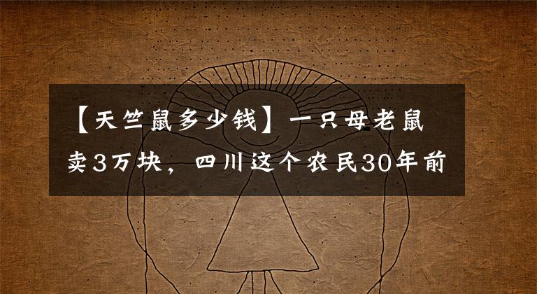 【天竺鼠多少钱】一只母老鼠卖3万块，四川这个农民30年前，是怎样骗几万家庭的？